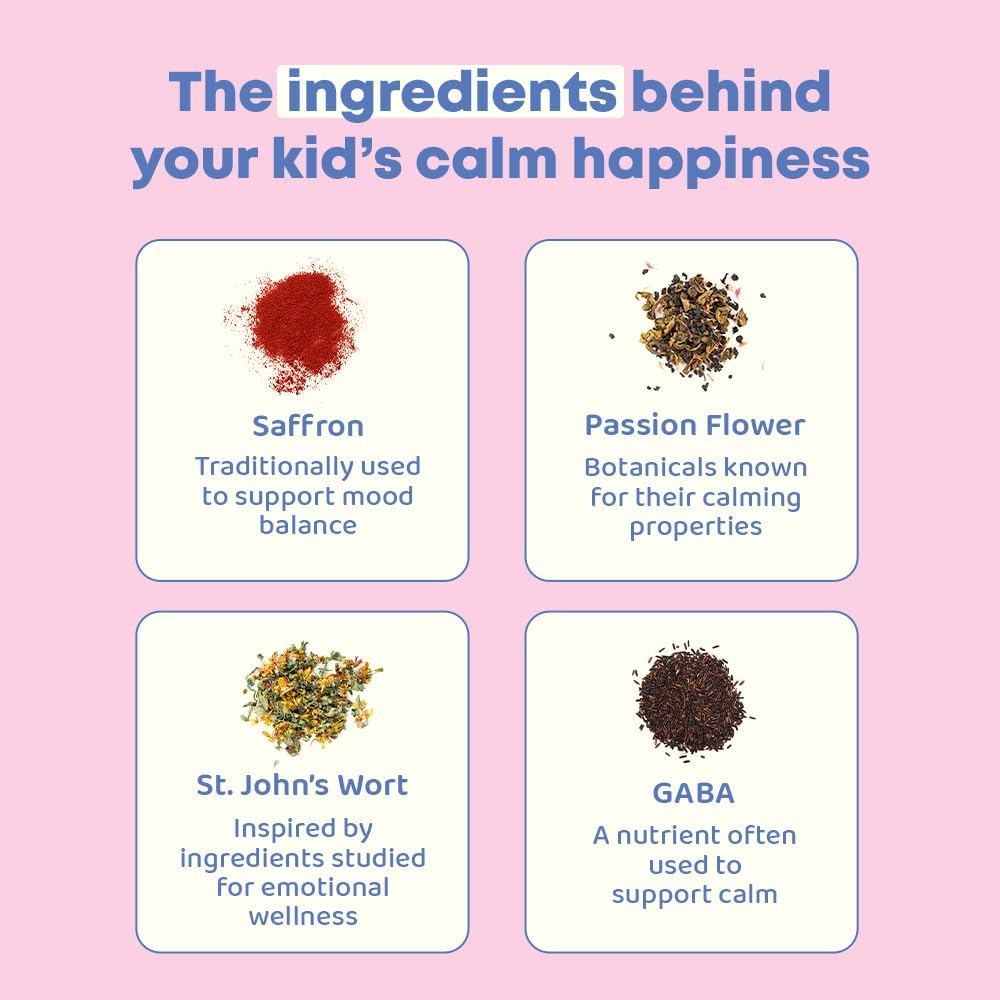 JoySpring Calm & Stabilize Back to School Bundle